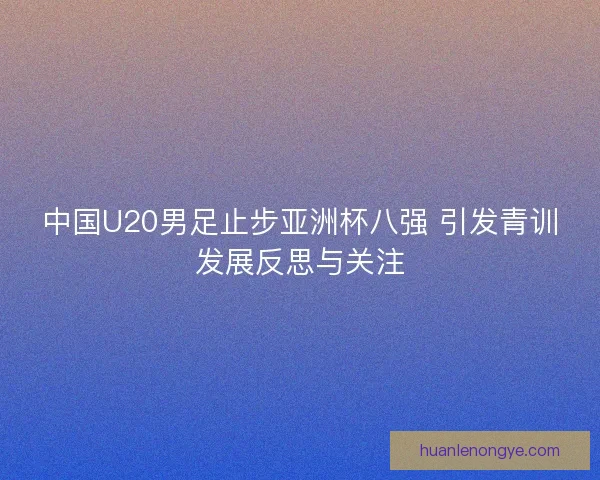 中国U20男足止步亚洲杯八强 引发青训发展反思与关注